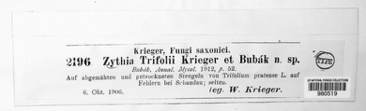 Zythia image